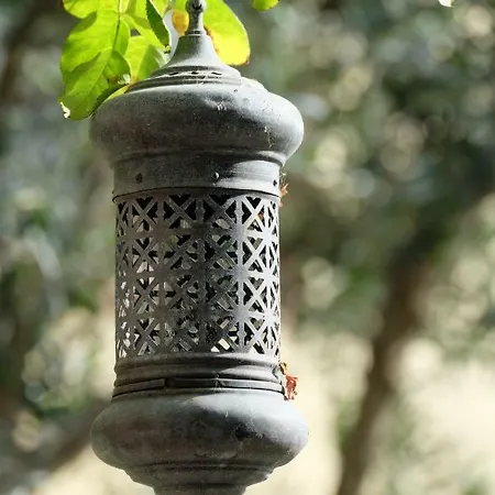 Coup De Coeur Bed and Breakfast Bram