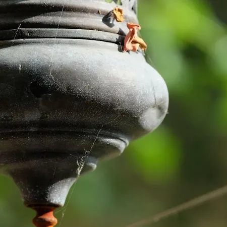 Bed & Breakfast Coup De Coeur 4*